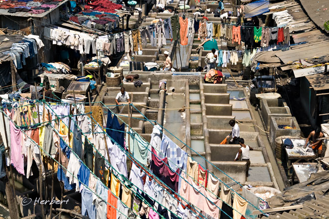 Dhobi Ghat