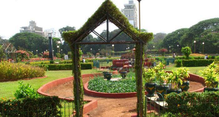 Hanging Garden