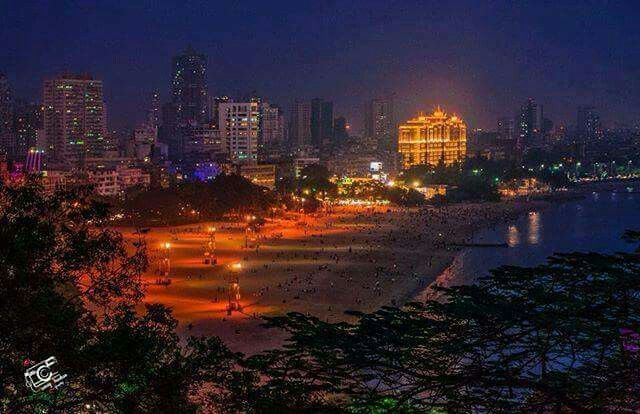 Night Tour